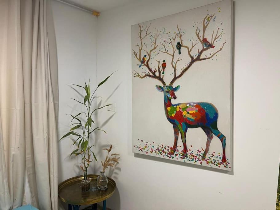Fotografie z fotogalerie ubytování צימר בית יוסף v destinaci Zichron Ja'akov