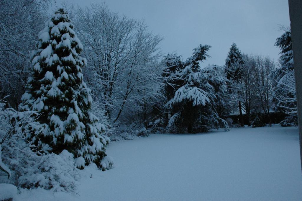 a snow covered christmas tree in a yard at La Coulonnière in Wismes