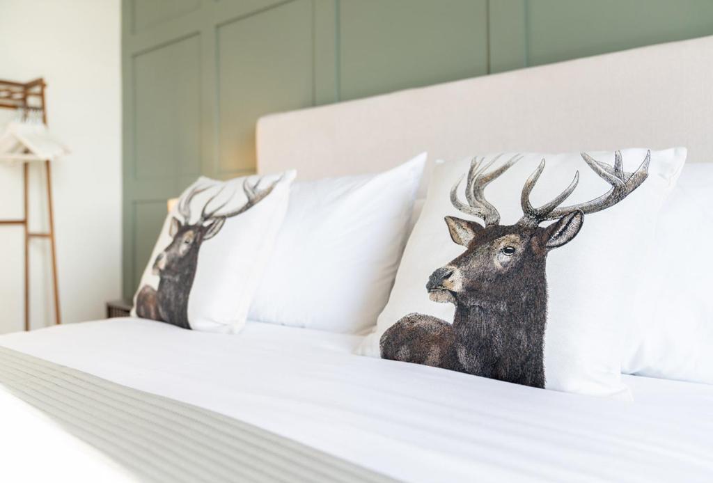 The Buddle Inn - Habitación King Con Vistas Al Mar