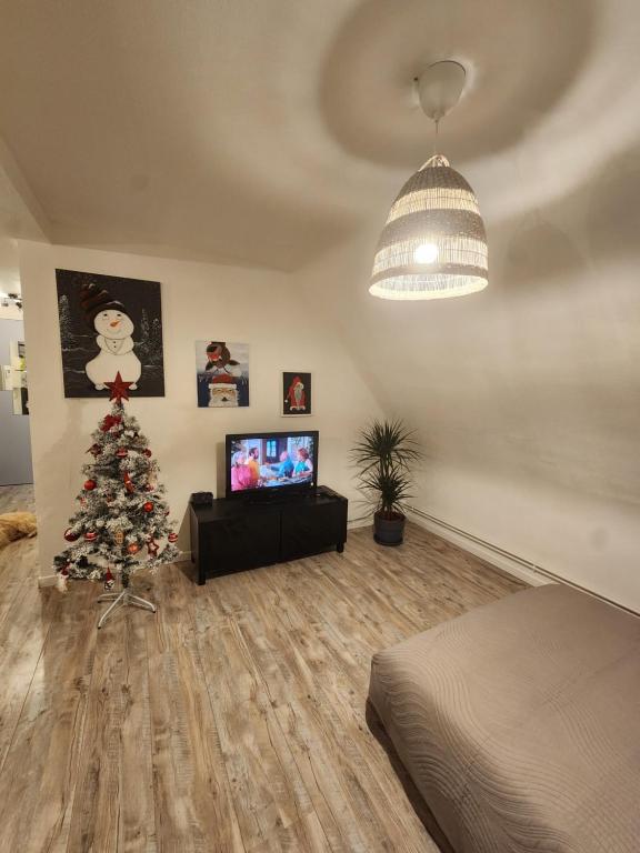 TV a/nebo společenská místnost v ubytování Gîte du logelbach