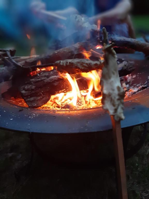 a fire pit with a stick in it at Bungalow direkt am See, mit eigenem Boot in Roding