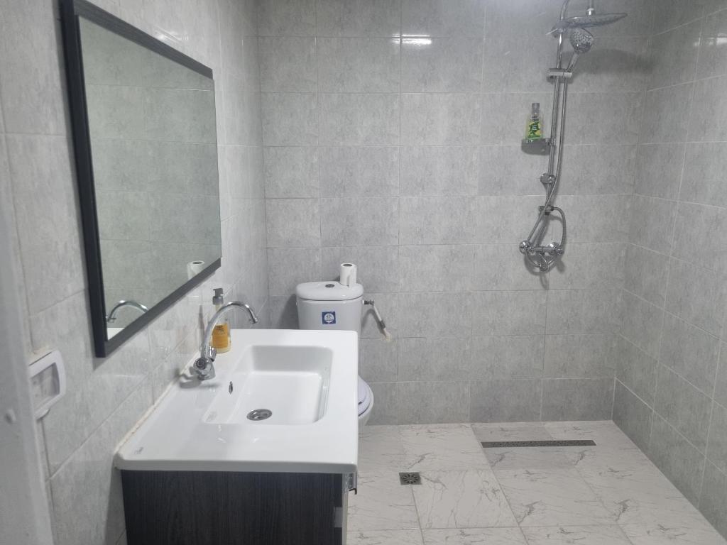 Koupelna v ubytování Appartement hannibal