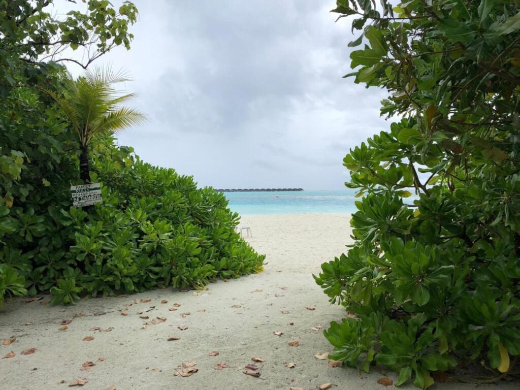 Dhiffushi Tourist Hotel - View 31