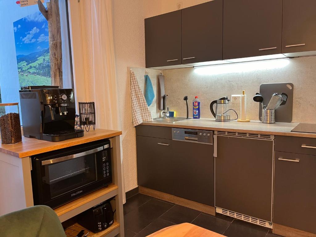 Kuchyň nebo kuchyňský kout v ubytování Ferienappartement Schwarzwaldeck in Todtnauberg