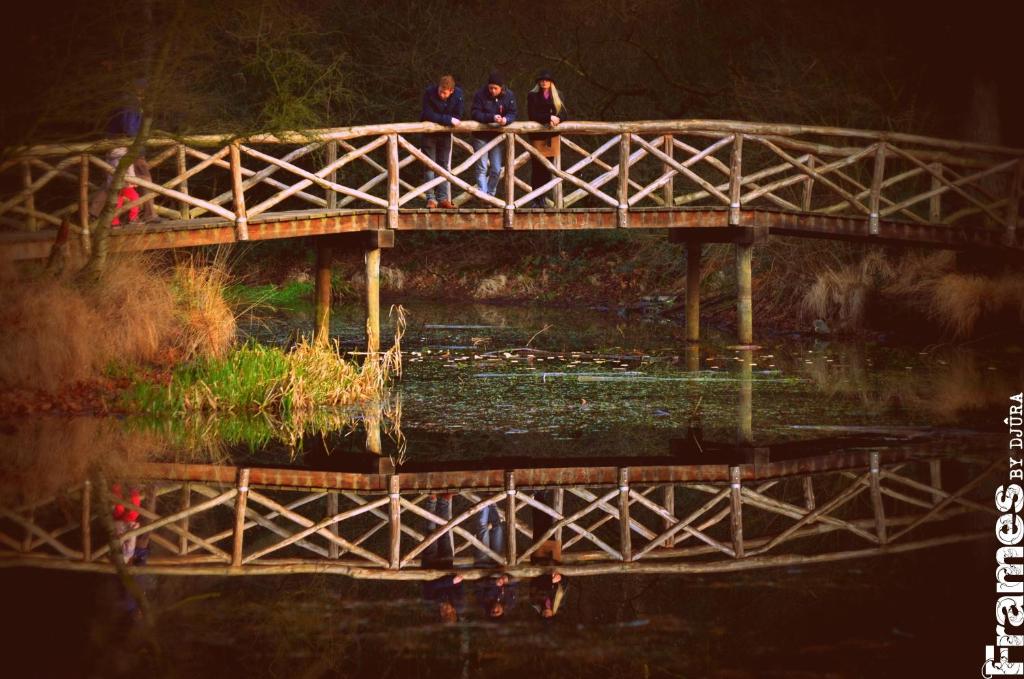 Fotografie z fotogalerie ubytování HCR Teernstra v destinaci Balk