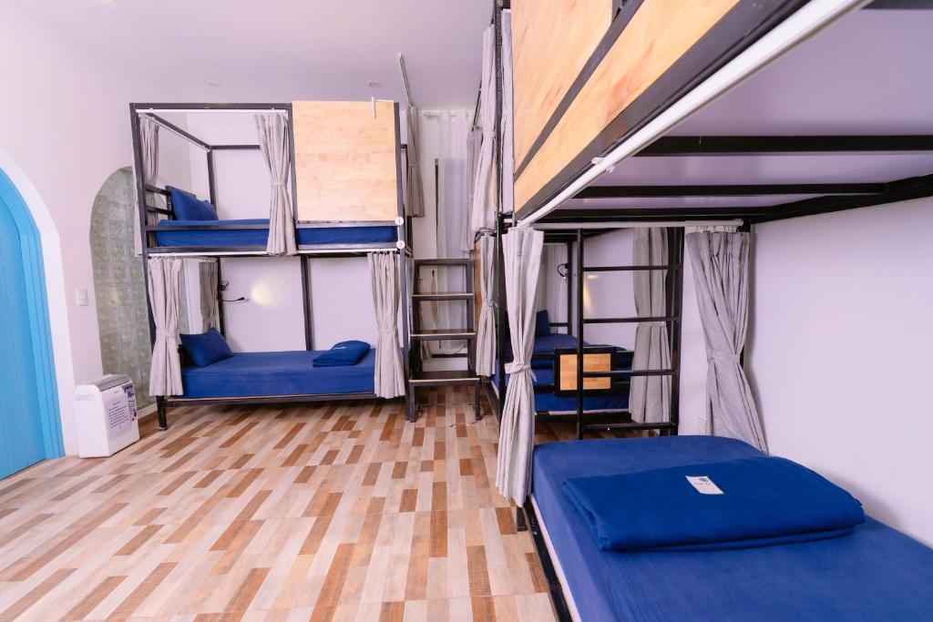 SECRET GARDEN CAT BA - Bed In 6-Bed Dormitory Room