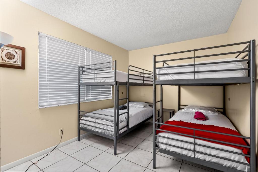 Crocodhouse eight years hosting - Single Bed In Dormitory Room