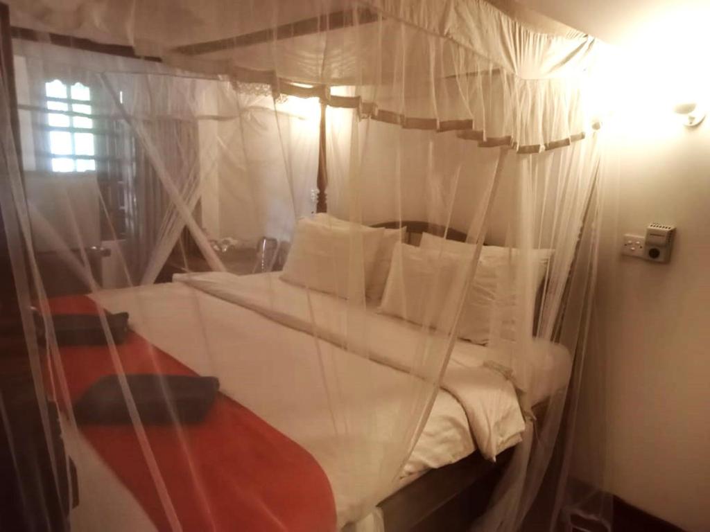 Surf Sea Breeze - 17