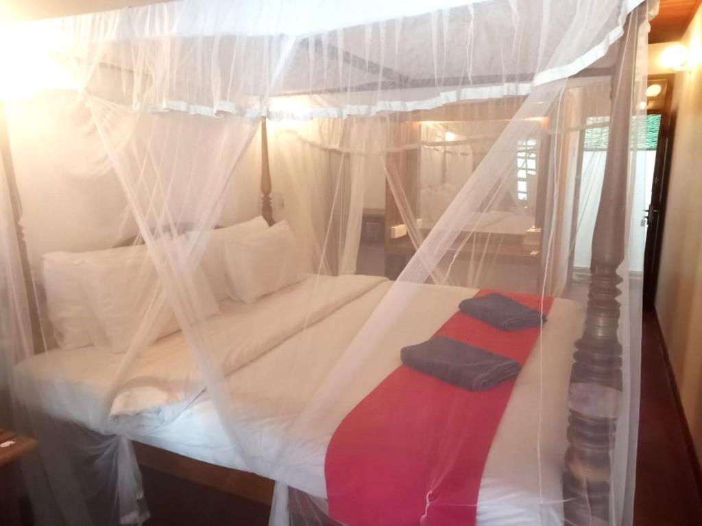 Surf Sea Breeze - 16