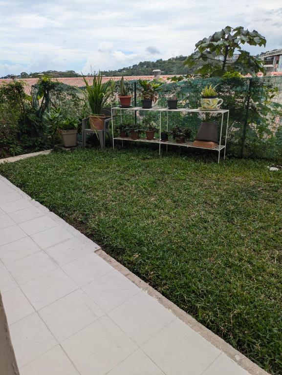 a garden with a table with potted plants on it at N'JOK Papeete in Papeete