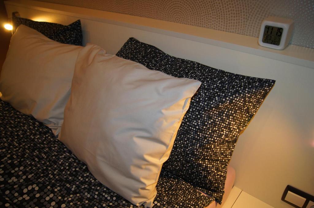 Apartamenty Kamienna - Wypoczynek , cisza i spokój - Nie na imprezy - 9