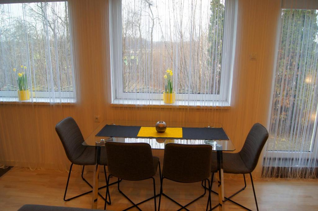 Apartamenty Kamienna - Wypoczynek , cisza i spokój - Nie na imprezy - 11