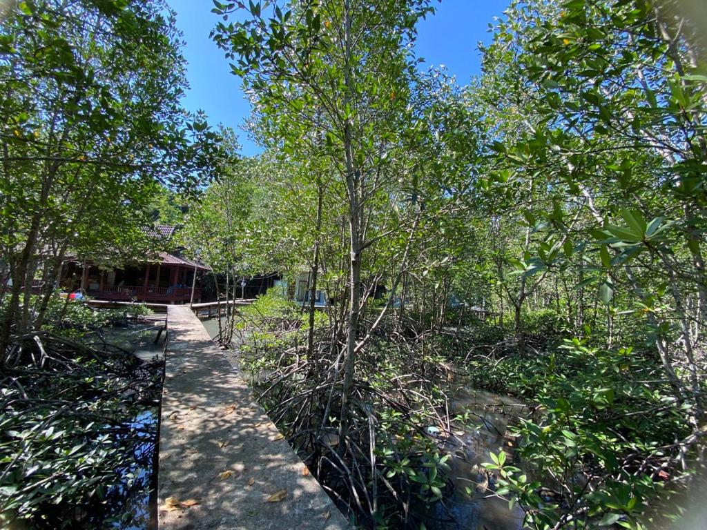 Příroda nedaleko prázdninového domu