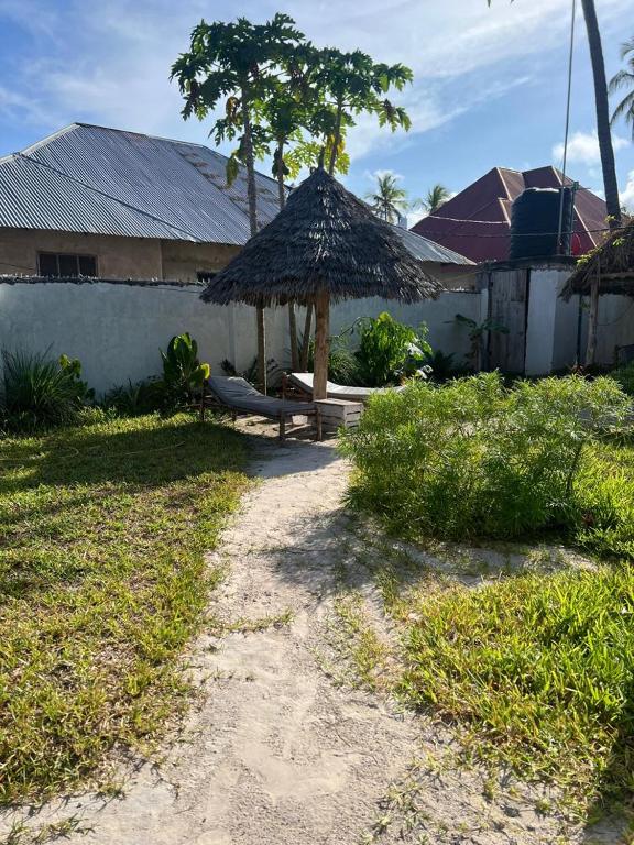 Zahrada ubytování Mambo Leo Hostel