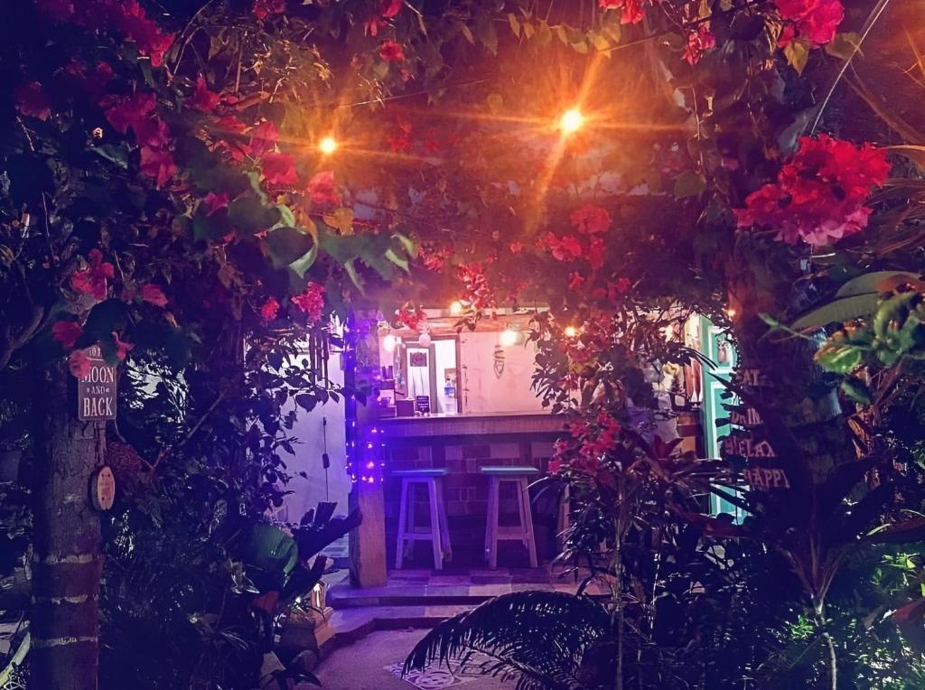 Zahrada ubytování Havana Hideaway