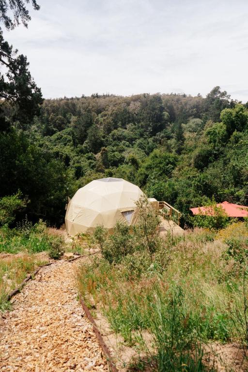 Příroda nedaleko luxury tent