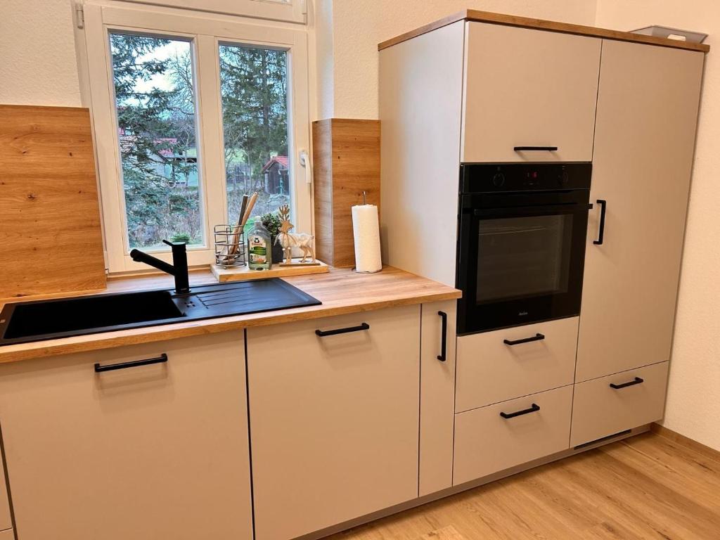 Kuchyň nebo kuchyňský kout v ubytování Altes Forsthaus im Harz