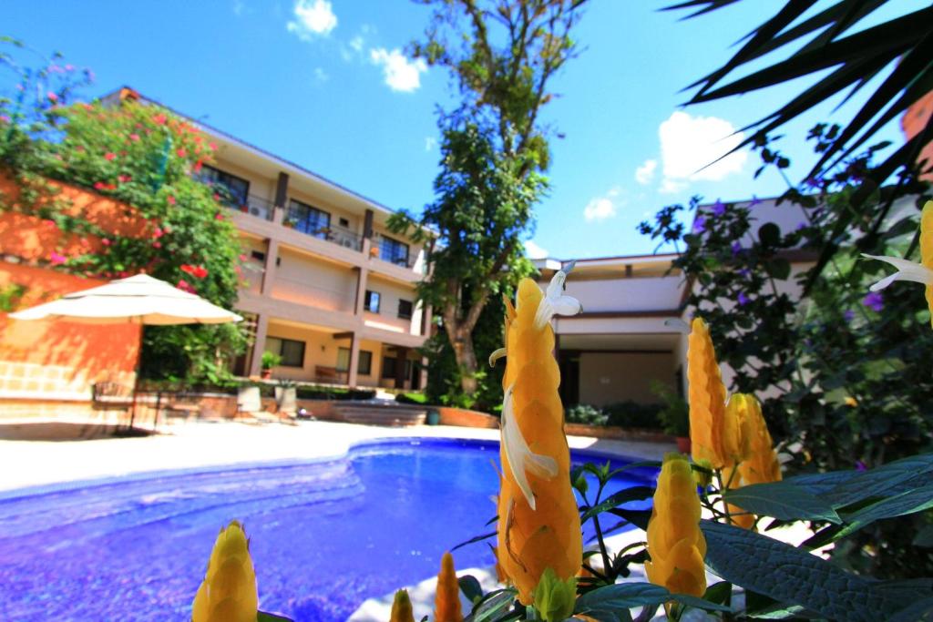 Bazén v ubytování Plaza Magdalena Hotel nebo v jeho okolí