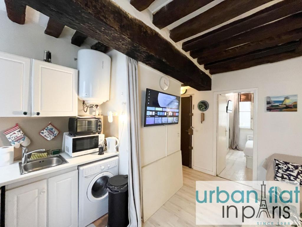 une cuisine avec un évier et un micro-ondes dans l'établissement Urban Flat 192 - Cosy Flat Basfour, à Paris