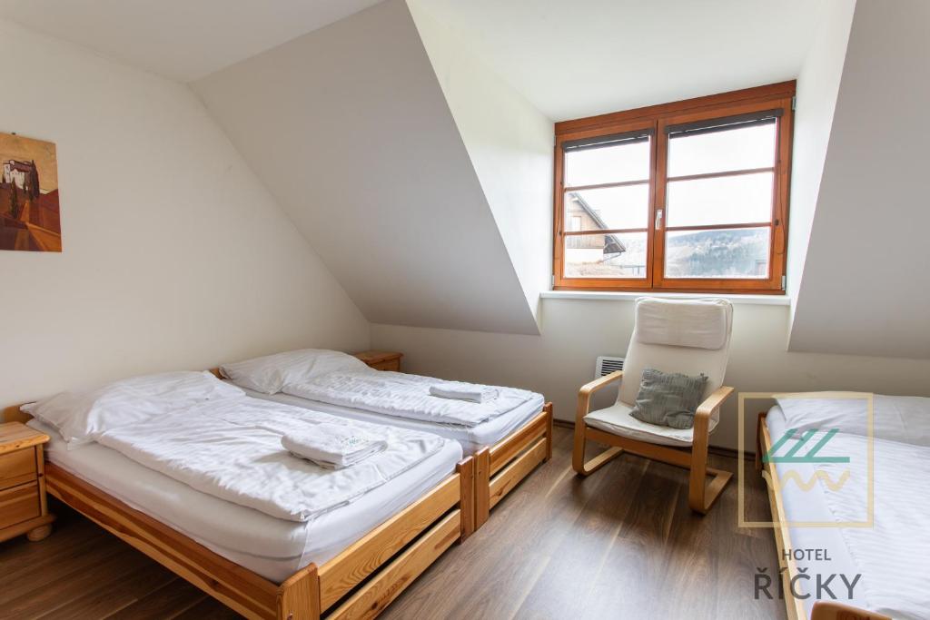 Łóżko lub łóżka w pokoju w obiekcie Apartmány pod Zakletým - Hotel Říčky