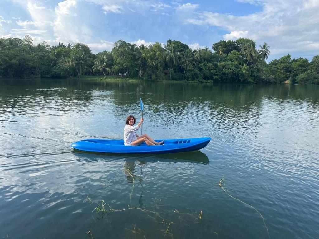 Příroda nedaleko penzionu