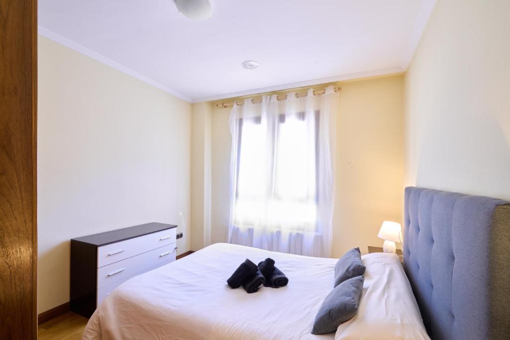 Precioso alojamiento centro junto al edificio Lis - Apartamento De Dos Dormitorios