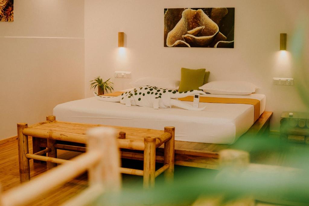 Ecoboo Maldives - 12