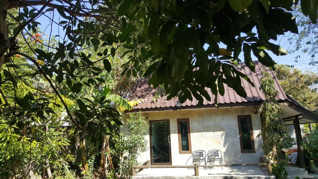 Zahrada ubytování Pai Klang Vieng