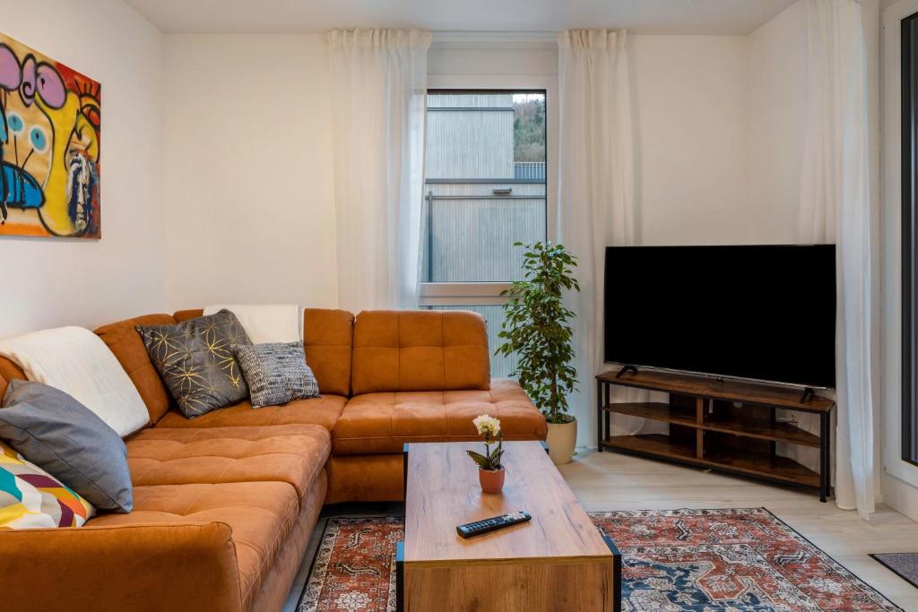 TV a/nebo společenská místnost v ubytování Felsenkeller Appartements