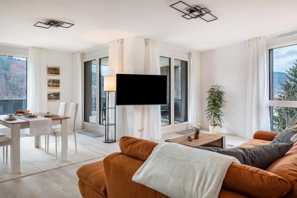 TV a/nebo společenská místnost v ubytování Felsenkeller Appartements