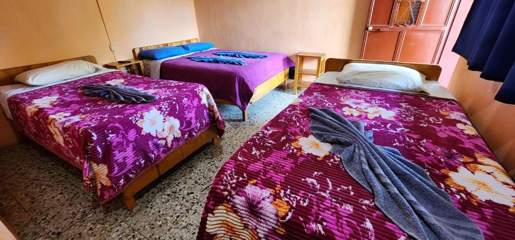 Hospedaje Santo Domingo - Habitación Cuádruple Con Baño Privado