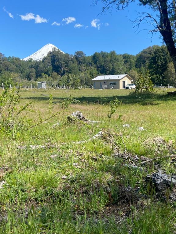 un campo de hierba con una montaña en el fondo en Cabaña rivera del Captrén, en Curacautín