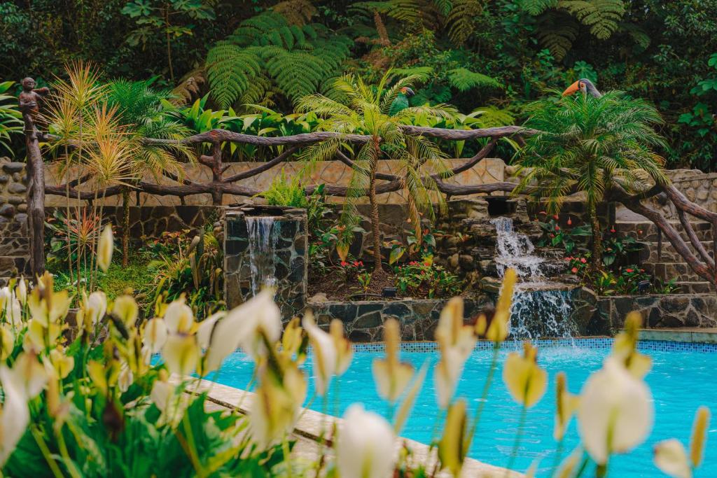 Bazén v ubytování Finca Las Palmas Ecolodge nebo v jeho okolí
