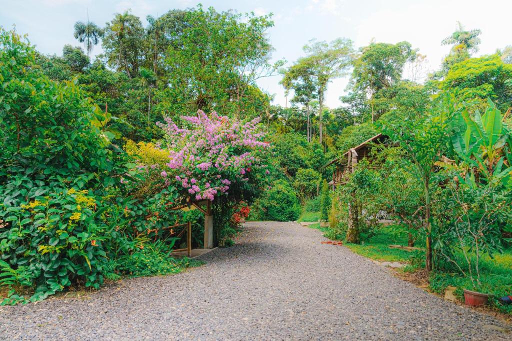 Zahrada ubytování Finca Las Palmas Ecolodge