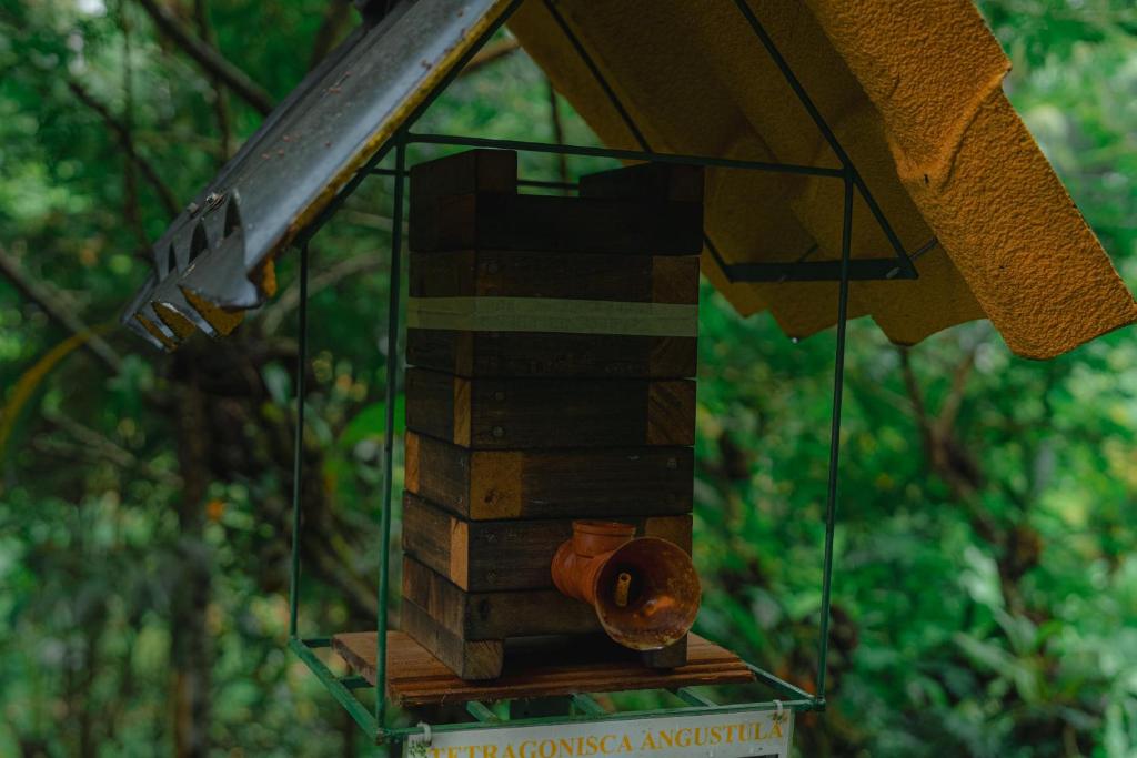 Fotografie z fotogalerie ubytování Finca Las Palmas Ecolodge v destinaci Puyo