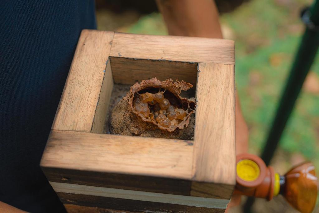 Fotografie z fotogalerie ubytování Finca Las Palmas Ecolodge v destinaci Puyo