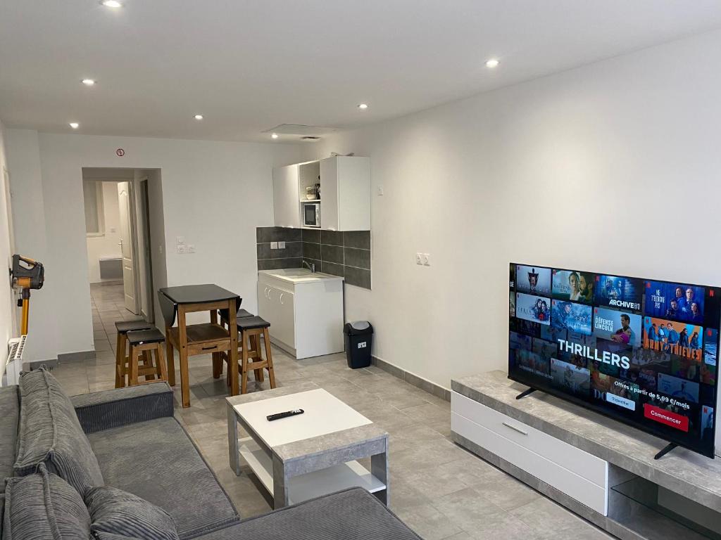 TV a/nebo společenská místnost v ubytování Appartement 1 - Hyper centre - 1 à 8 personnes