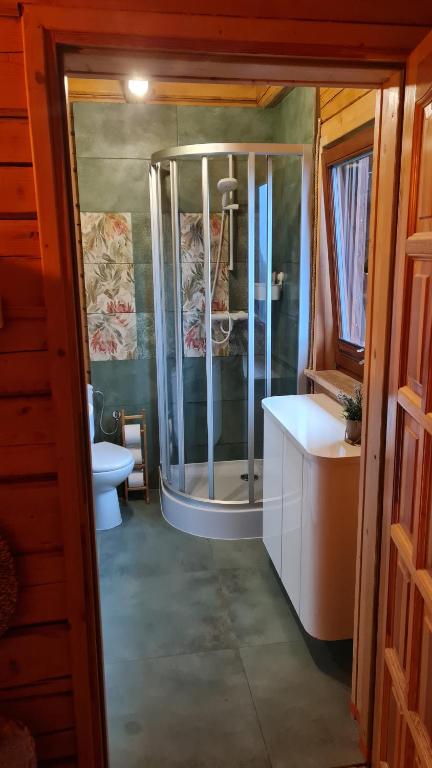 Kúpeľňa v ubytovaní Apartamenty SPOKOLOKO Letniczówka Widoki