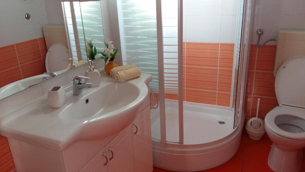 Koupelna v ubytování Apartments Vrime
