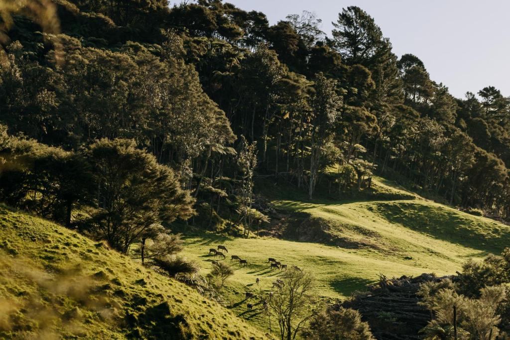 Jungle Den - Resim 12