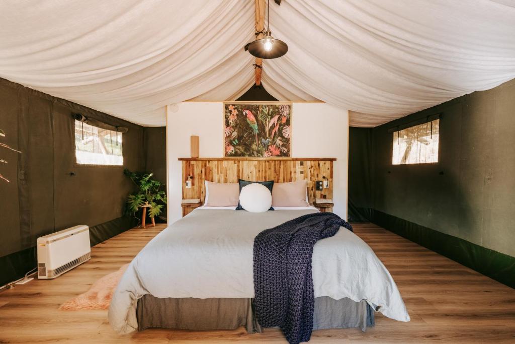 Jungle Den - Resim 18