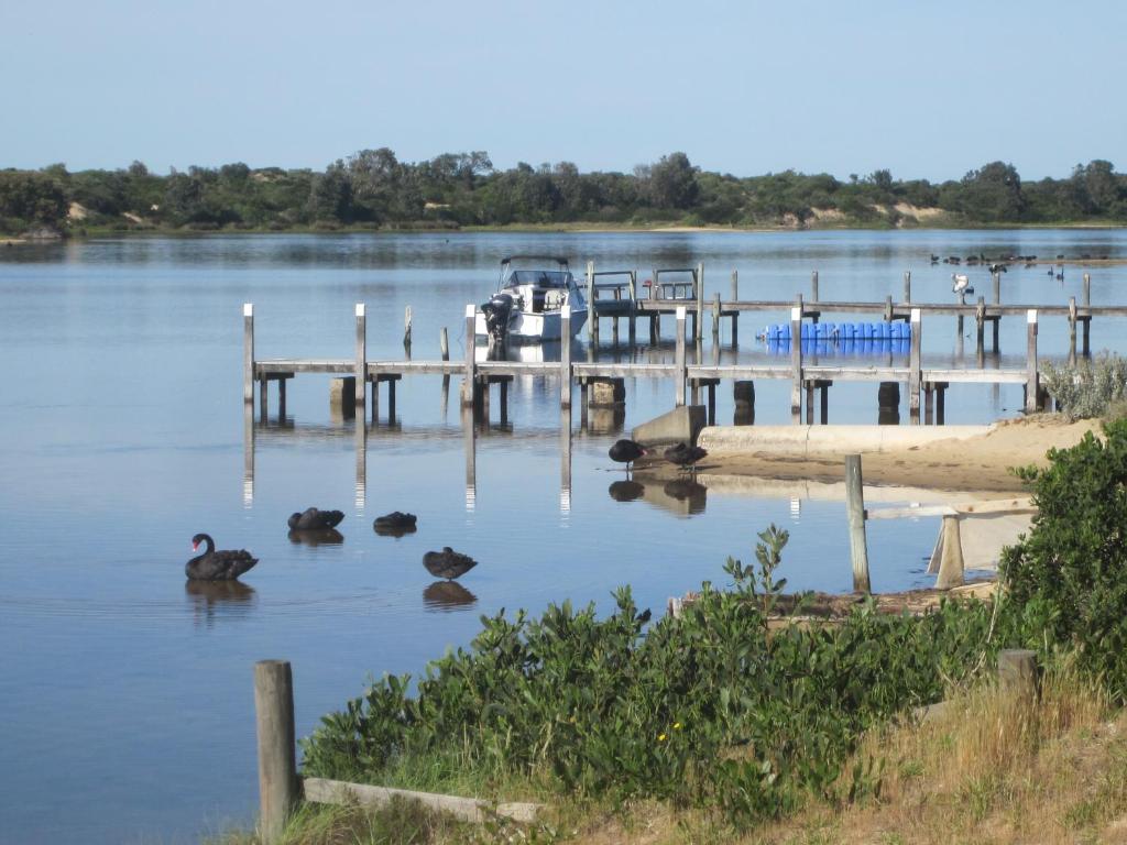 a group of ducks swimming in the water near a dock at Lakes Entrance Waterfront Cottages with King Beds in Lakes Entrance