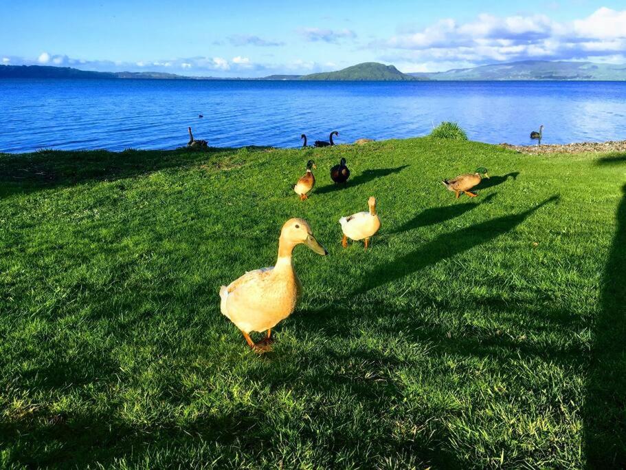 Blue Cottage, on the lake - Resim 29