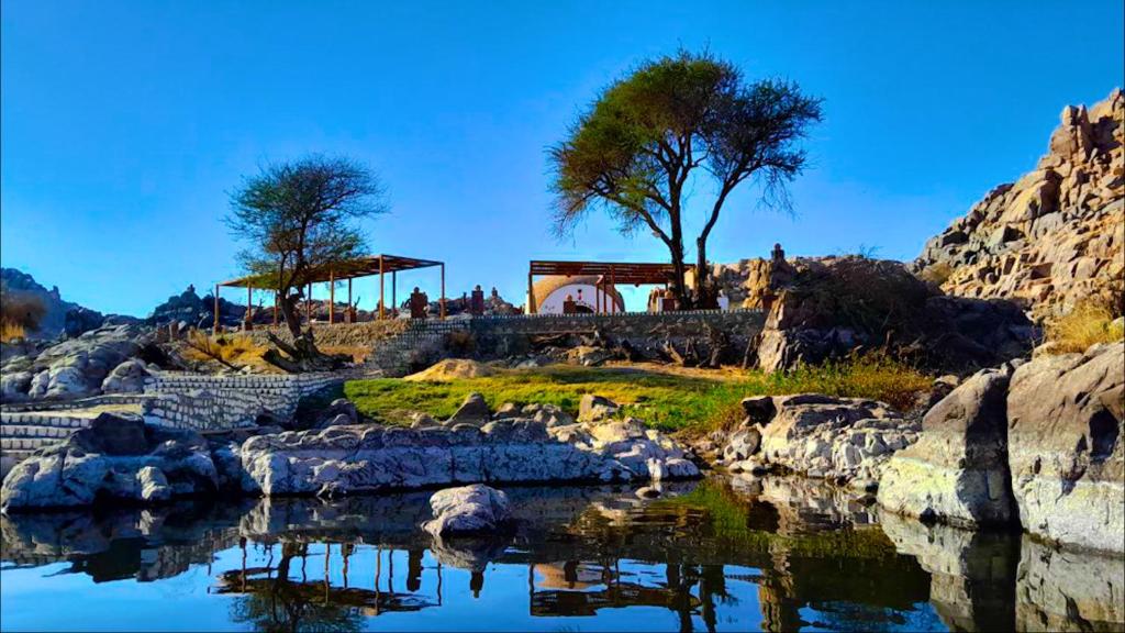 una mostra di zoo con laghetto, alberi e rocce di ASSINGAR camp a Jazīrat Suhayl