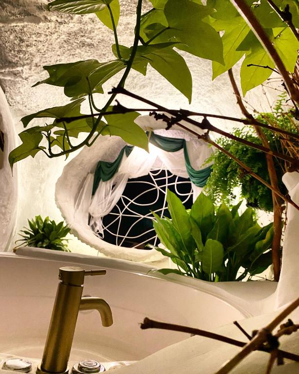 Zahrada ubytování Glamping CAVE