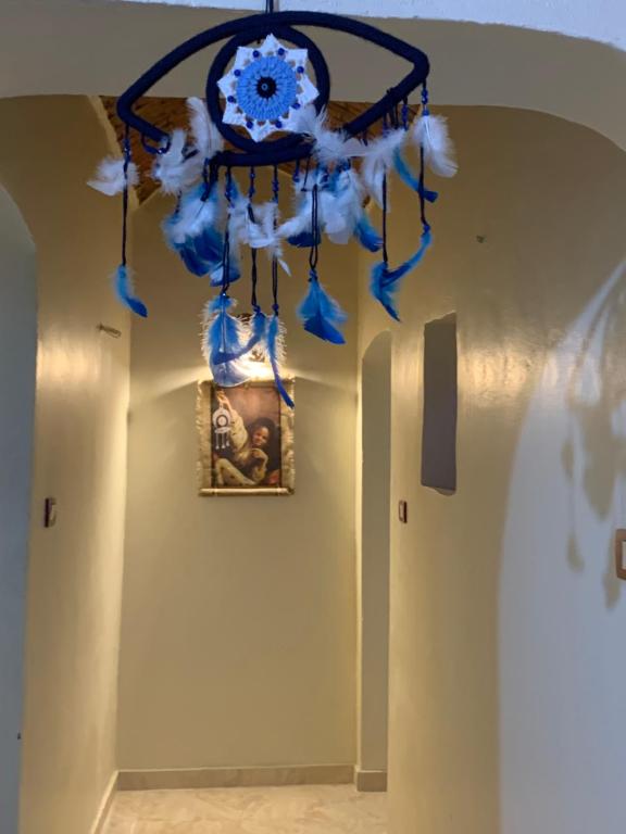 Fotografie z fotogalerie ubytování Tawy Guest House v destinaci Asuán