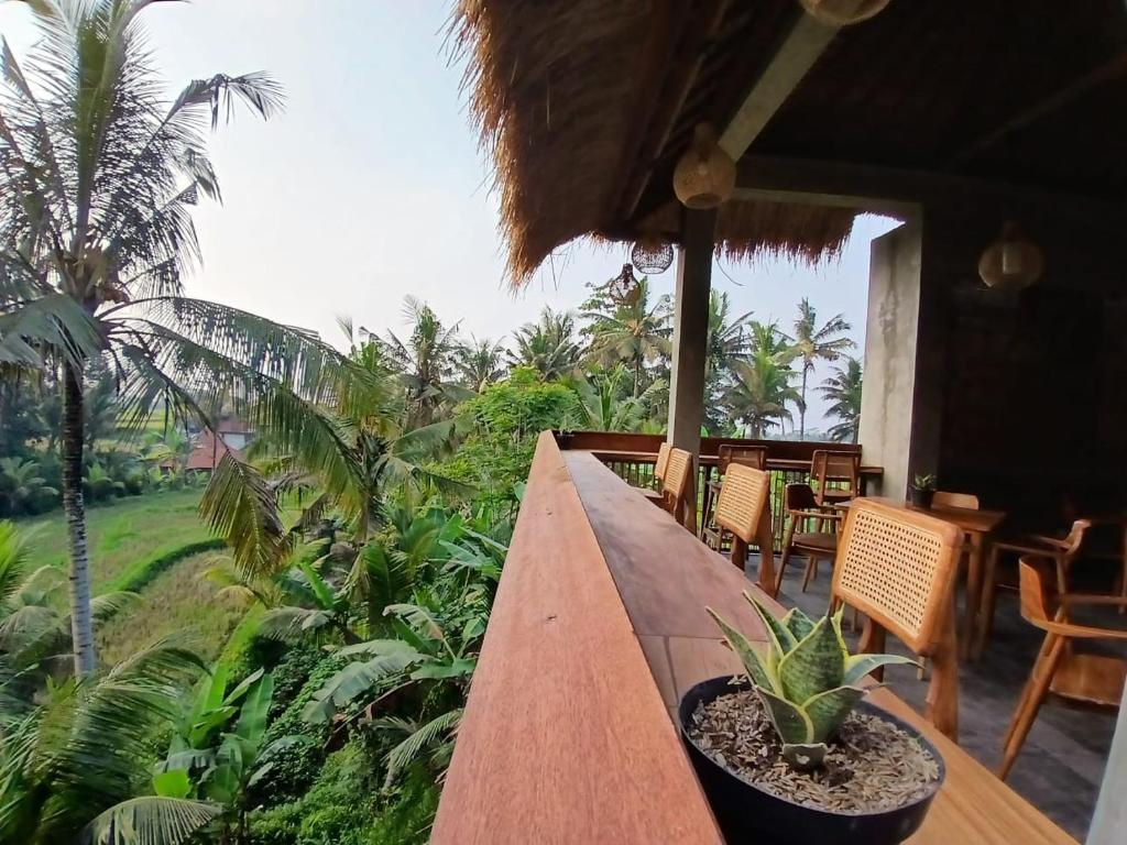 Zahrada ubytování Bali View Ubud Hotel