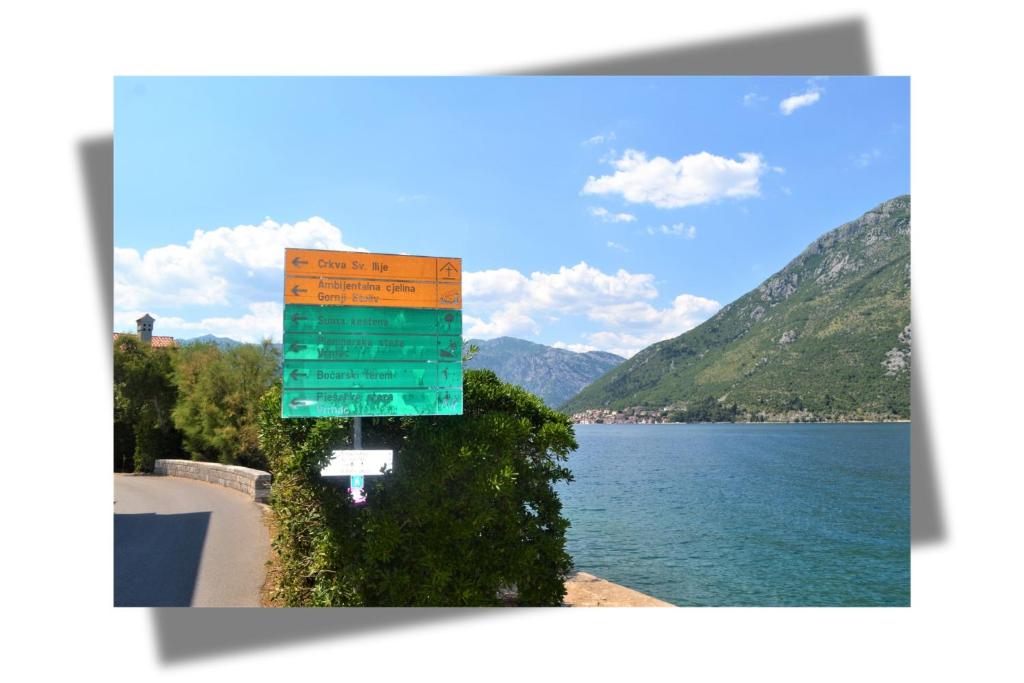 Apartments Djurovic - 13