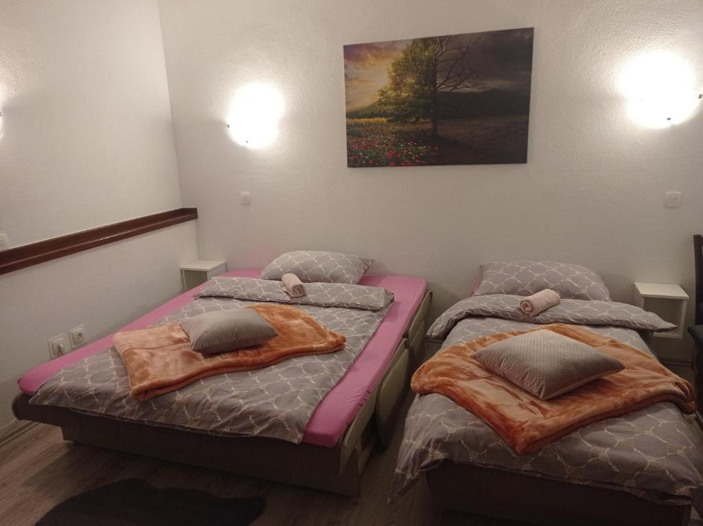 Posteľ alebo postele v izbe v ubytovaní Studio apartman Sonja
