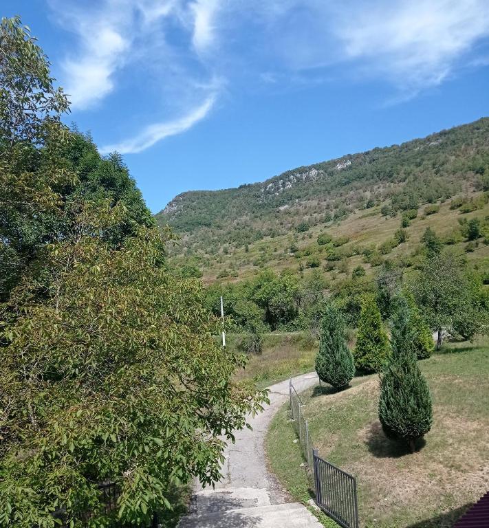 Príroda v okolí apartmánu